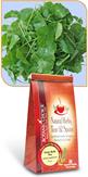 Gotu Kola Tea by Botanic Choice